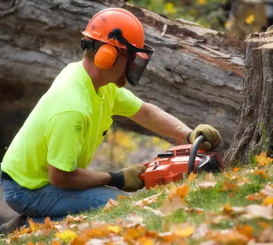 tree services Monterey Park